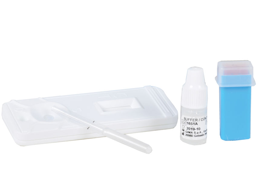 helicobacter pylori autotest