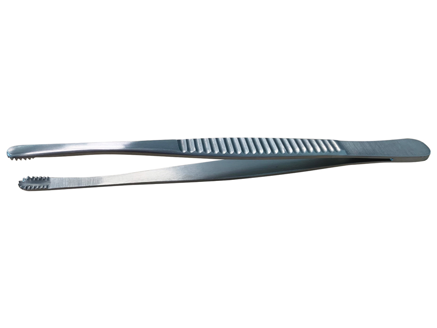 forceps durante 15 cm