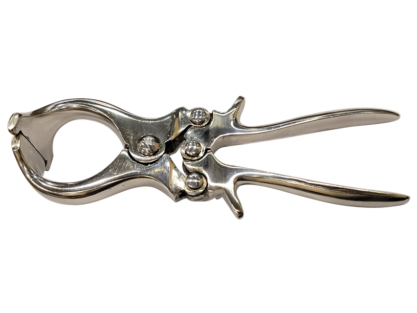 forceps castrator burdizzo 22 cm